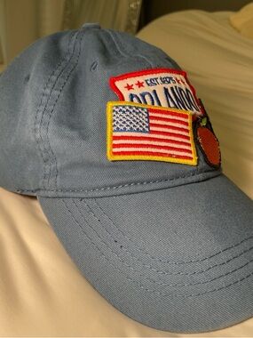 Orlando, FL Patch cap